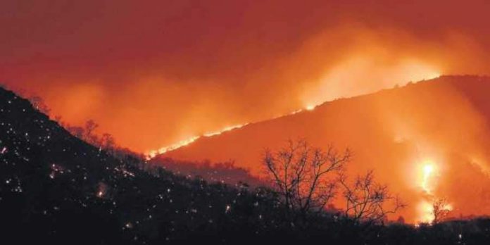 amesan fire