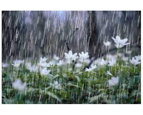 rain