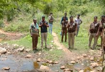 கருப்பாநதி அருகே யானை சாவு
