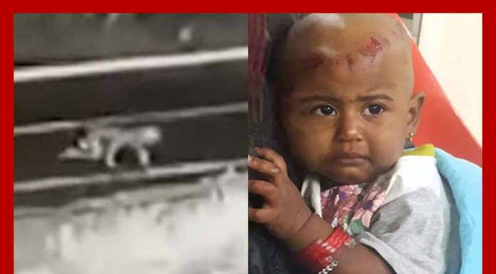 ஓடிய ஜீப்பிலிருந்து குழந்தையை தவறவிட்டதாய்