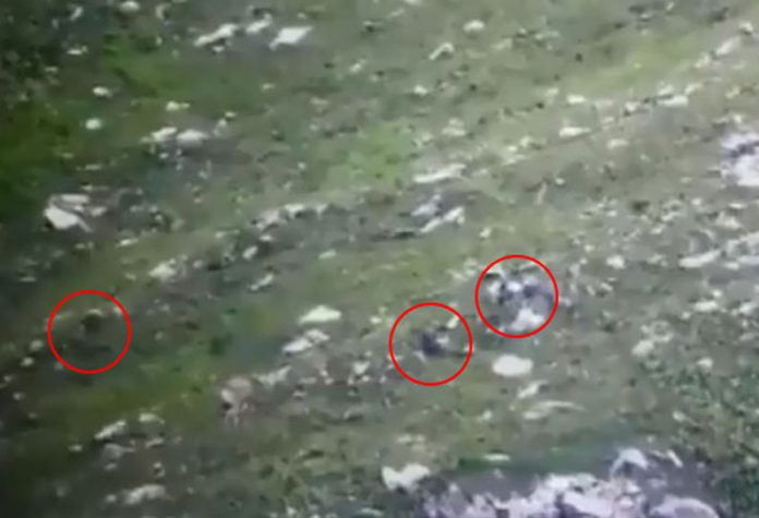 201909271602437431_Indian-Army-detected-Pakistani-terrorists-near-LoC-in_SECVPF