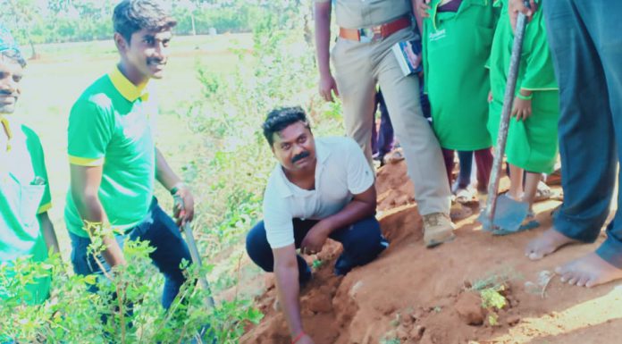பனை விதைக்கும் விழா