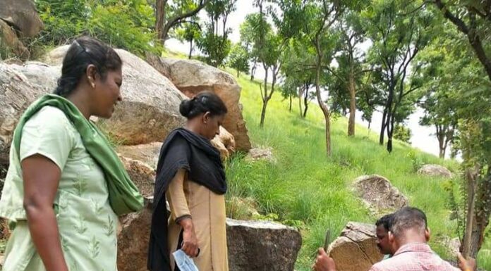 ஆந்திர எல்லை மலைப்பகுதியில் 2 ஆயிரம் லிட்டர் சாராய ஊறல் அழிப்பு