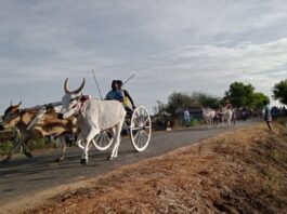 புதூர் அருகே மாட்டுவண்டி போட்டி