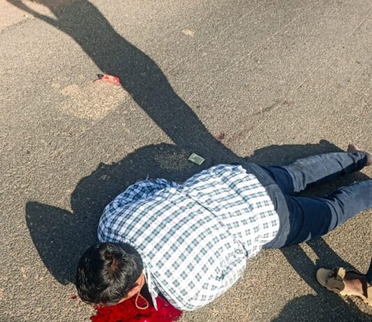 மயிலை காப்பாற்ற நினைத்த வாலிபர் பைக்கில் இருந்து விழுந்து படுகாயம்