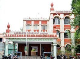 கடல் அட்டை கடத்தியவருக்கு சிறை தண்டனை
