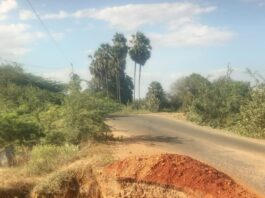 ஸ்ரீவை. அருகே வாகனங்களை கவிழ்க்க காத்திருக்கும் சாலைப் பள்ளம்