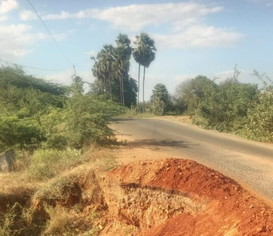 ஸ்ரீவை. அருகே வாகனங்களை கவிழ்க்க காத்திருக்கும் சாலைப் பள்ளம்
