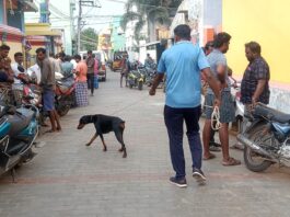 கோவில்பட்டி சிறுவன் மர்மம் மரணம் – மோப்பநாய் சோதனை
