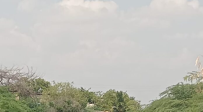 மையவாடி முட்புதர்களை அகற்ற கோரிக்கை