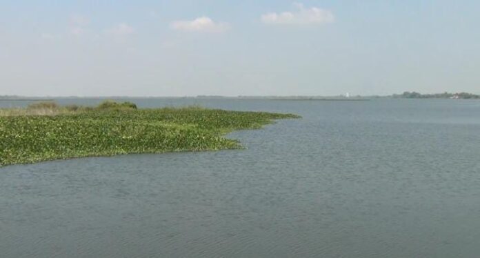 IMG-20260102-WA0078
