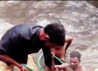 அருவி வெள்ளத்தில் அடித்துச் சென்ற மானை மீட்ட வனத்துறை