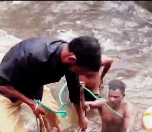 அருவி வெள்ளத்தில் அடித்துச் சென்ற மானை மீட்ட வனத்துறை