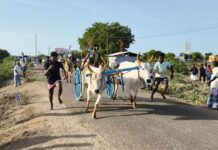 விளாத்திகுளம் அருகே விறுவிறுப்பான மாட்டு வண்டி போட்டி