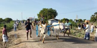 விளாத்திகுளம் அருகே விறுவிறுப்பான மாட்டு வண்டி போட்டி