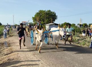 விளாத்திகுளம் அருகே விறுவிறுப்பான மாட்டு வண்டி போட்டி
