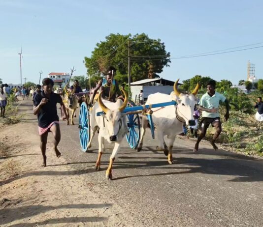 விளாத்திகுளம் அருகே விறுவிறுப்பான மாட்டு வண்டி போட்டி