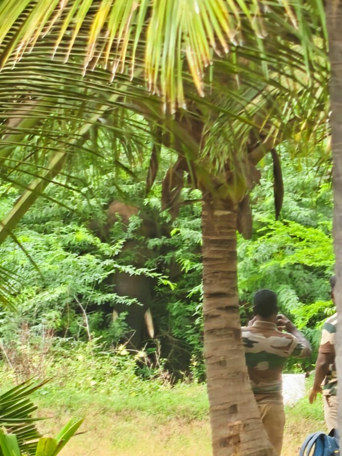 IMG-20260825-WA0419