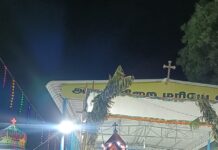 மாதாவனம் அன்னை வேளாங்கண்ணி ஆலய திருவிழா